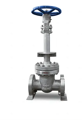 Cryogenic Cast Steel Gate Valve